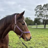 Photo of Mia