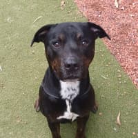 Photo of Junior