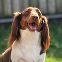 Photo of Pablo
