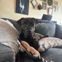 Photo of Benny