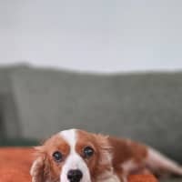 Photo of Lexi