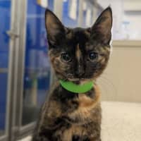 Photo of Eenie