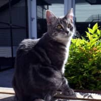 Photo of Jeremy Stk012743