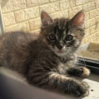 Photo of Mozee