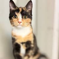 Photo of Serena