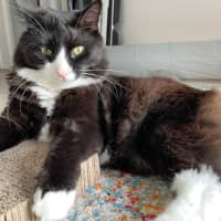 Photo of Inky
