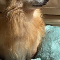 Photo of Coco