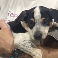 Photo of Wilma