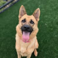 Photo of Gabrielle Imp 2805