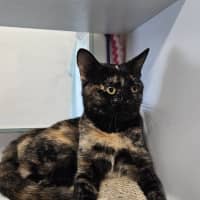 Photo of Agnes