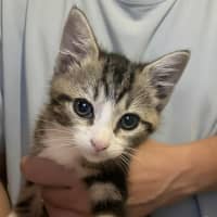 Photo of 🩷Juliet 🩷