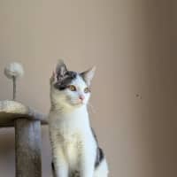 Photo of Sparky