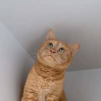 Photo of Narmi