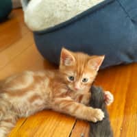 Photo of 🧡 G A R Y 🧡