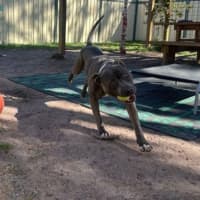 Photo of Zeke