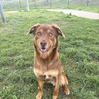 Photo of Alpha