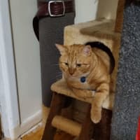 Photo of Jack And Sunny