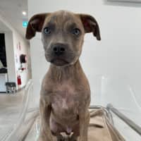 Photo of Zeus
