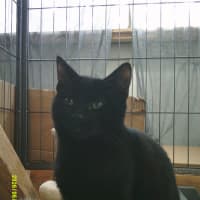 Photo of Char Barclay