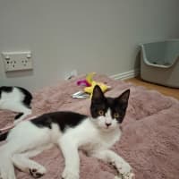 Photo of Rocky Road