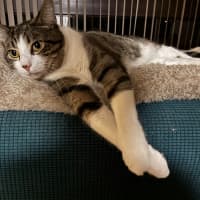 Photo of Zeus 