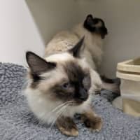 Photo of 🪼 Chloe 6924 🪼