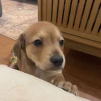 Photo of Maverick