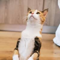 Photo of Genevieve Illingworth