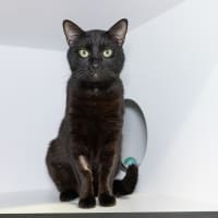 Photo of Milton