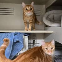 Photo of Grandpa George And Grandpa Joe