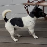 Photo of Spot 