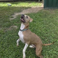 Photo of Stormi Rose