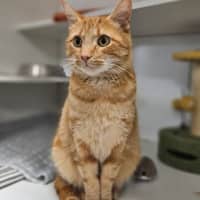 Photo of Bingo