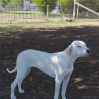 Photo of Minty