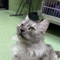 Photo of Puddy
