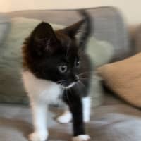 Photo of Maggie ‘Magpie’