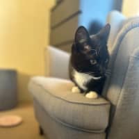 Photo of Bruce   Tuxedo