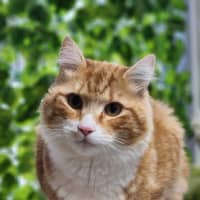 Photo of 🐠 Nemo 5314 🐠