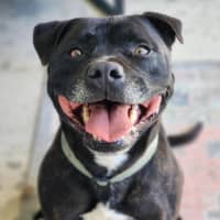 Photo of 🏈 Max 6706 🏈