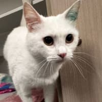 Photo of Brenda