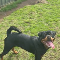 Photo of Max
