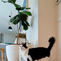 Photo of Maggie Moo