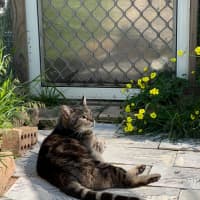 Photo of Jagger   Can Transport To You 