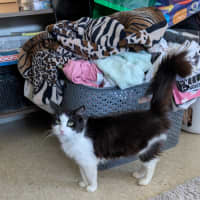 Photo of Miss Biccies