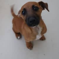 Photo of Mable