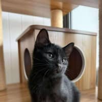 Photo of Laverne