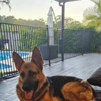 Photo of Shilo
