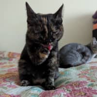 Photo of Nyx