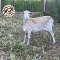 Photo of Thelma & Louise