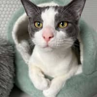 Photo of Denim